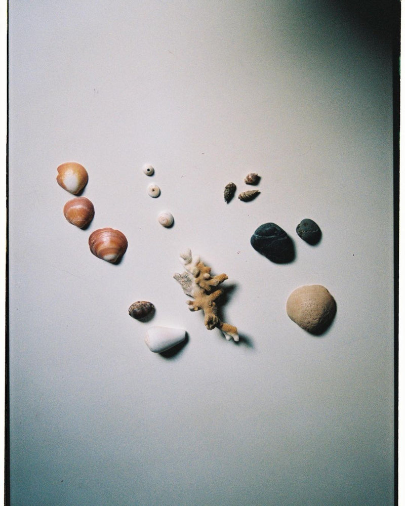 wellness and project retreat